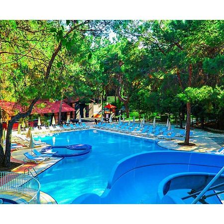 Festival Nature Hotel 케메르 외부 사진