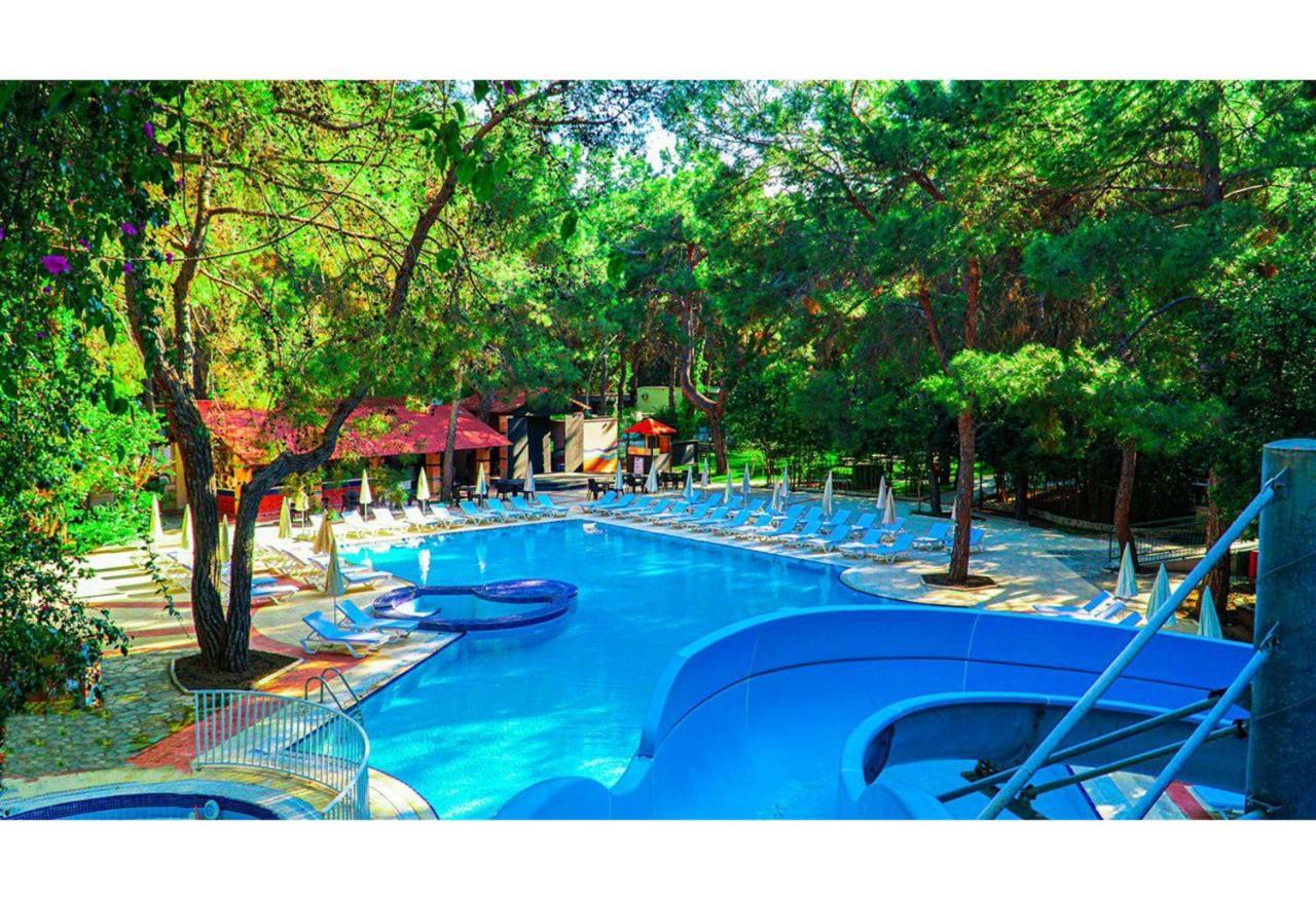 Festival Nature Hotel 케메르 외부 사진