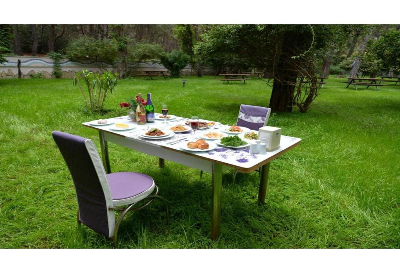 Festival Nature Hotel 케메르 외부 사진