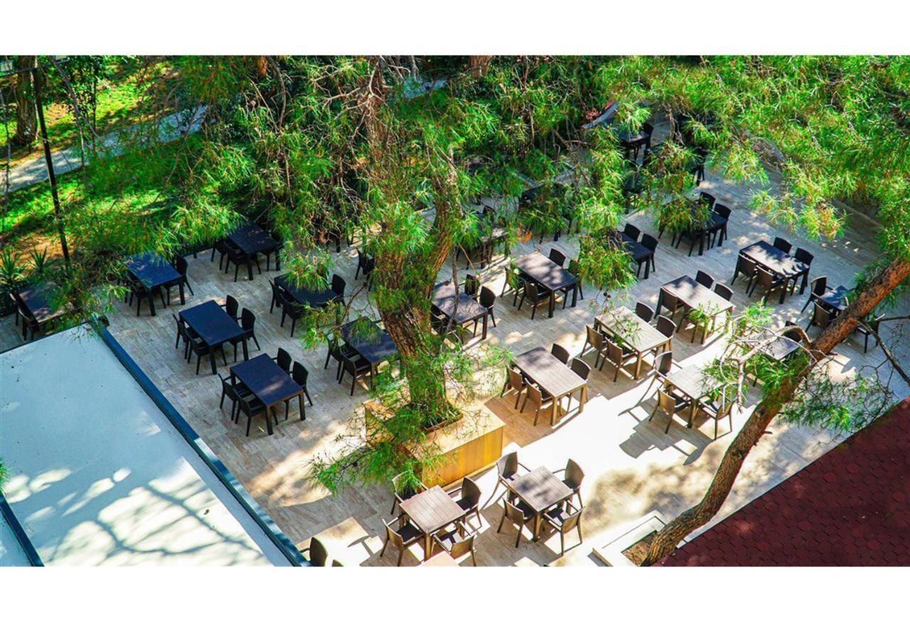 Festival Nature Hotel 케메르 외부 사진