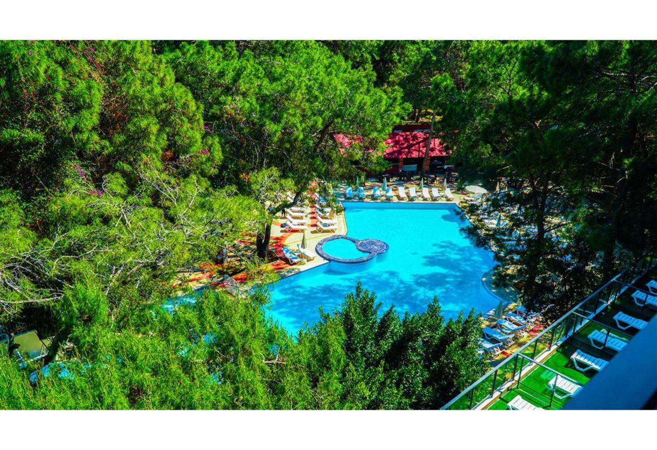 Festival Nature Hotel 케메르 외부 사진