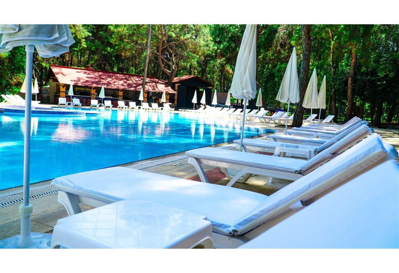 Festival Nature Hotel 케메르 외부 사진