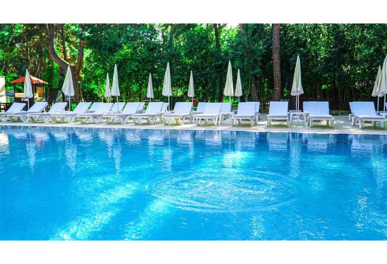 Festival Nature Hotel 케메르 외부 사진