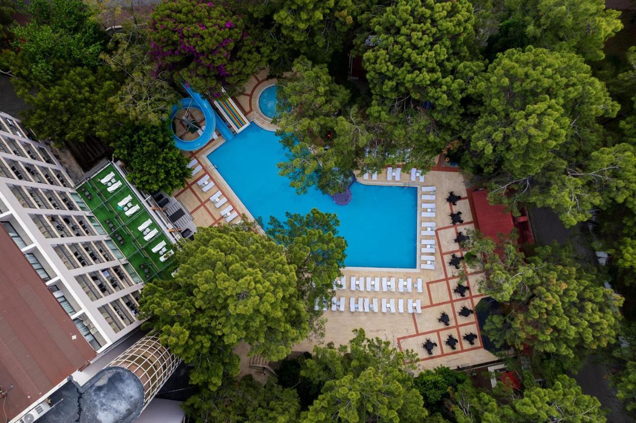 Festival Nature Hotel 케메르 외부 사진